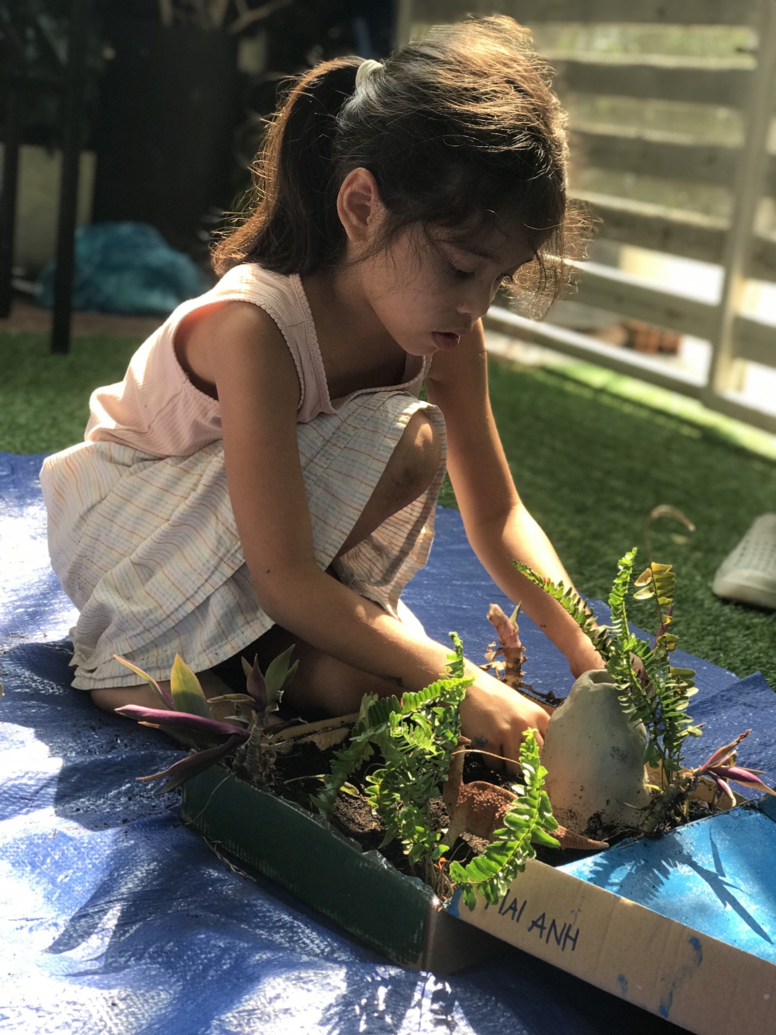 The second day at camp Paleontology at Le Petit Musée - Nature Art & Fun